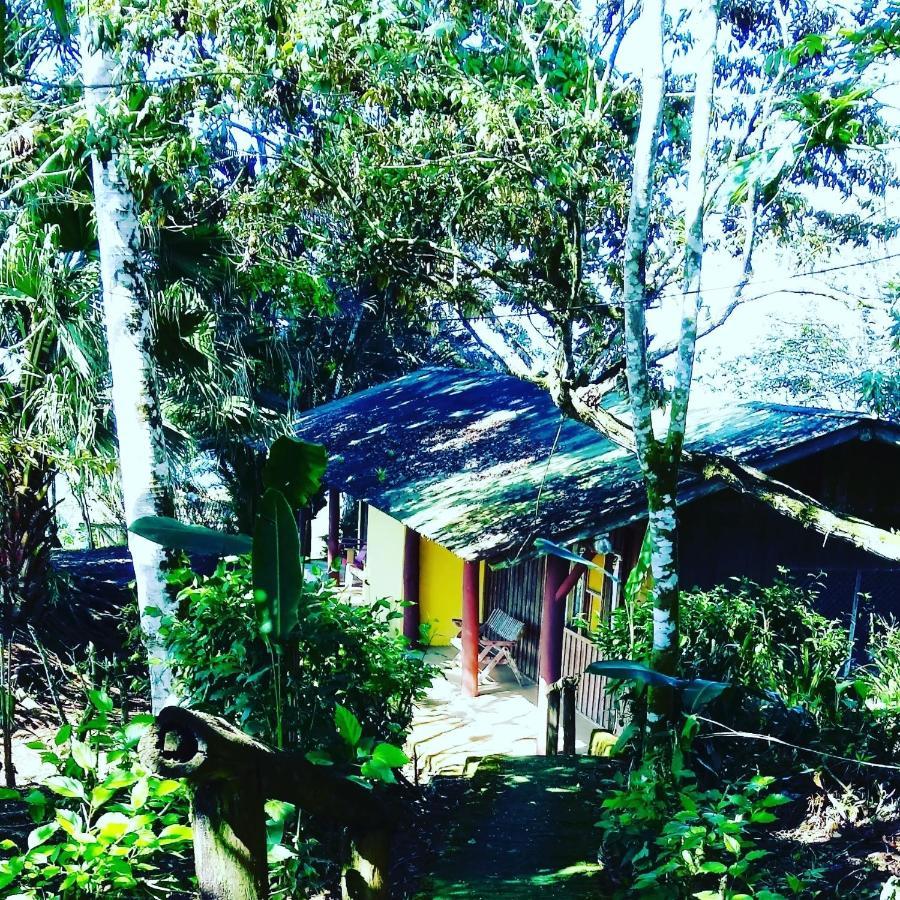 Pochotel Turrialba Bagian luar foto