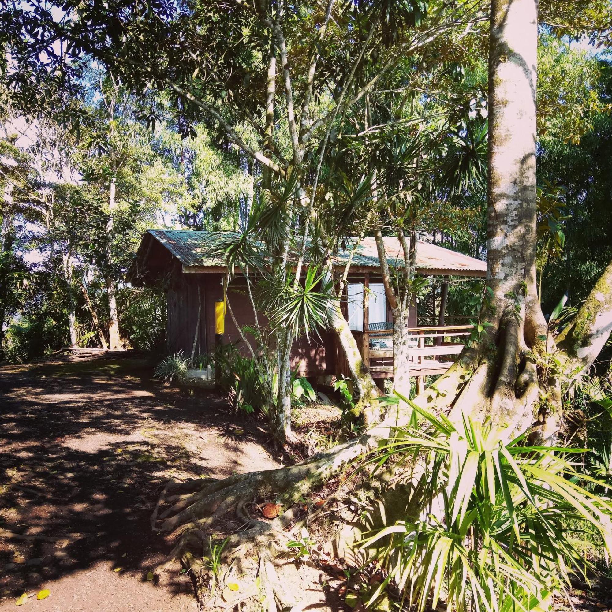 Pochotel Turrialba Ruang foto