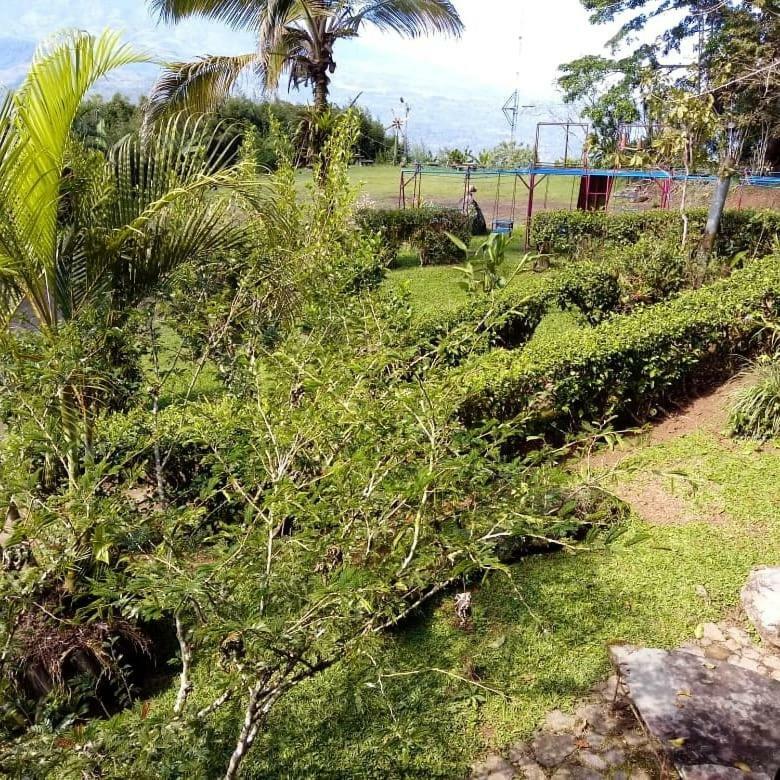 Pochotel Turrialba Bagian luar foto