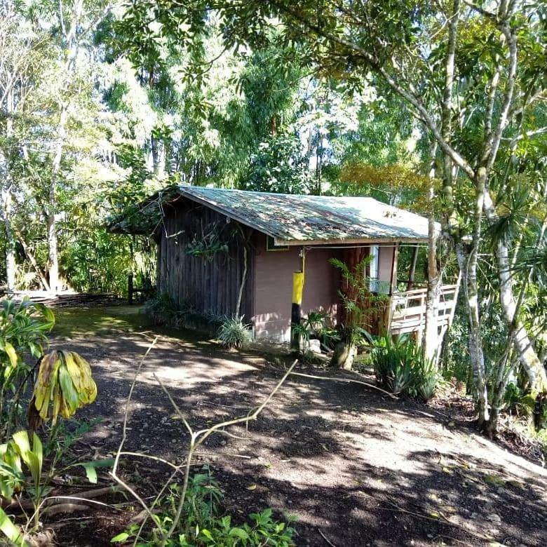 Pochotel Turrialba Bagian luar foto